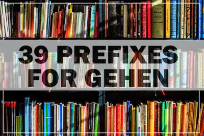 39 Prefixes for gehen